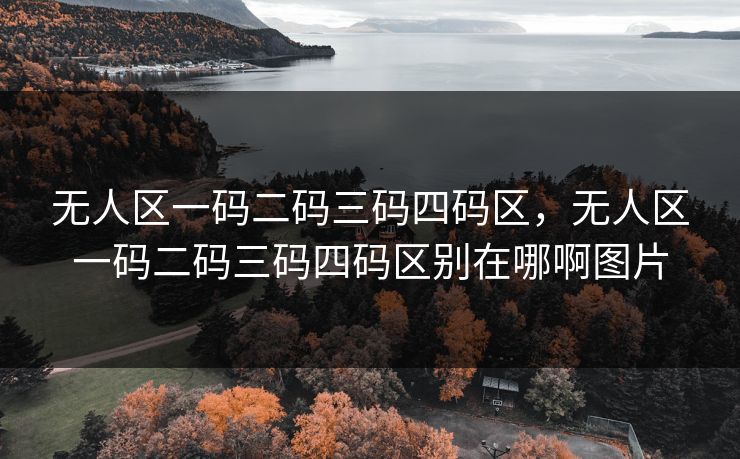 无人区一码二码三码四码区，无人区一码二码三码四码区别在哪啊图片
