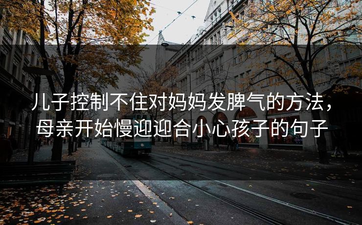 儿子控制不住对妈妈发脾气的方法,母亲开始慢迎迎合小心孩子的句子